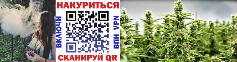 shop телеграм  Каневская  Конопля VHQ 
